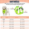 SlowTon Dog Harness for Dogs, No Pull Safety Harness, Small