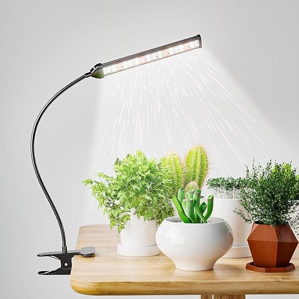 GooingTop Grow Light LED Growing Lamp,6500K 50W Full Spectrum 72