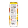 Parrot Brand Mango Juice Drink with Pulp 16.4 fl. oz.(Pack