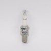 CHAMPION OE098/RN4C Spark Plug
