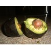 HASS Avocado 2 Seeds