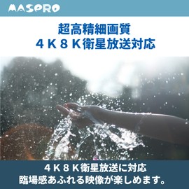 MASPRO Electric (MASPRO) 3224MHz Compatible UHF, BS, CS TV Recorder Booster for Terrestrial Digital Broadcast 4K8K Satellite Broadcast 2 Outputs Power Supply Pass-through HS Mark Standard Gain