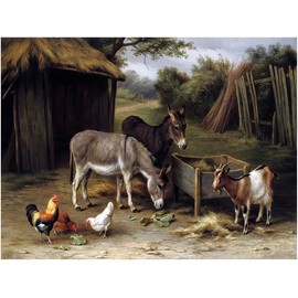 Farmyard Donkeys Goat Chickens Rooster by Edgar Hunt Accent Tile Mural Kitchen Bathroom Wall Backsplash Behind Stove Range Sink Splashback One Tile 8"x6" Ceramic, Matte