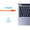 Monoprice Cat6 Ethernet Patch Cable - Network Internet Cord -
