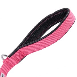GOGO Pet Products 5/8-Inch Wide Comfy Nylon Dog Leash, 6-Feet Long, Pink
