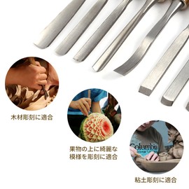 Juego de Herramientas para Tallar, 12 piezas de Cincel de Mano para Tallado, juego de cinceles con bolsa de almacenamiento para trabajar para carpintería artesana