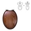 Dalton Wooden Elongated Soft Close Toilet Seat, Java Brown, Quick