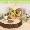 Guinea Pigs Hammock with Natural Wooden Stand - Hanging Hammock