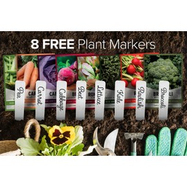 Gardeners Basics Winter, Fall, and Spring Vegetable Seeds for Planting | Cool Weather Crops | 8 Varieties: Sugar Snap Pea, Carrot, Beet, Radish, Lettuce, Broccoli, Kale, Cabbage