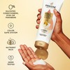 Pantene Pro-V Miracles Extreme Damage Care Regenerative Oil Blend 1