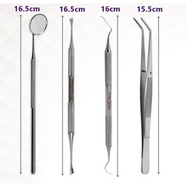 Dental Animal Tooth De-Scaler Dog Cat Oral Care Pets Hygiene Stainless Steel Instruments (Set of 4pc with case)