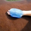 Horse & Pony Grooming Mitt, Dual Sided Massage & Curry