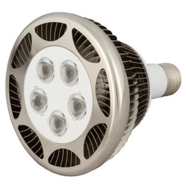 Sunpark PAR38 High Power LED Spot Light Bulb, 15-Watt, Warm Light