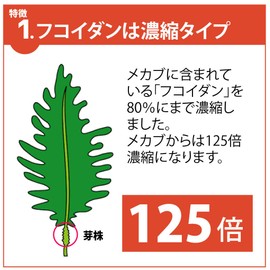 フコイダン (フコイダン330mg/日) 30日分