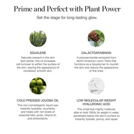 Ogee Makeup Primer - Activated Botanical Face Primer for Oily Skin & All Skin Types - Hydrating Primer with Jojoba Oil & Hyaluronic Acid - 73% Organic Ingredients & Made in USA