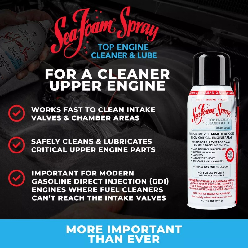 Sea Foam Spray Intake Valve and Upper Engine Cleaner SS14