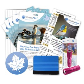 WindowAlert Maple Leaf Large Starter Pack - Bird Strike Prevention Decals (12 Envelopes) with UV Tester Flashlight & Application Squeegee - Made in USA