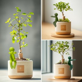 Plant Propagation Buddy Cute and Functional for Indoor Gardens Moss Pole Monstera Plant Support