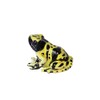 マグネット レプティスマグ イエローポイズンダートフロッグ (キオビヤドクガエル) 2.5×4×3cm
