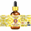 Deve Herbes Pure Psoralea Oil (Psoralea corylifolia) with Glass Dropper