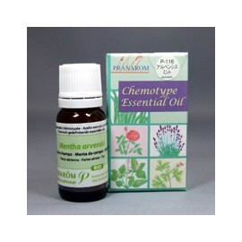 Pranarom P-116 Albensis Mint, 0.3 fl oz (10 ml)