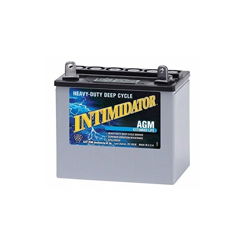 East Penn/Deka 8AU1 AGM 12V Battery 200CCA