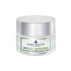 [Sanssouci] Iohannis Night Cream (50ml) / [산수시] 요하니스 나이트 크림(50ml)