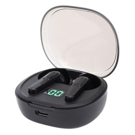 Voice Translator Earphones, Noise Cancellation, Real-time Translation Translator Device, Supports 144 Languages, Two-Way Translator Device with App Bluetooth 5.3 (BLACK)