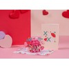XOXO Pop Up Card