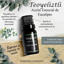 Aceite Esencial Eucalipto Aromaterapia, difusor, hierbas, baños, splash, relajación, incienso, masajes, hidratación, meditación, yoga, bienestar, calma, paz, estres, relajante, aroma, frutal, herbal, bosque, naturaleza, esencia,