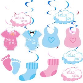 24PCS Gender Reveal Hanging Swirl Party Decorations for Boy Or Girl Theme Birthday Party Supplies Hanging Spiral Garlands Ceiling Decor (Gender Reveal)