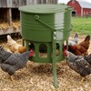 Metal Chicken Feeder No Waste - 20LB Large Chicken Feeder