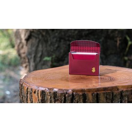 Murphy's Magic Supplies, Inc. Leon Playing Cards | Poker Deck | Collectable