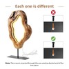 LAPTAIN LED Wood Table Lamp, Irregular Bedside Lamp with Dimmable,