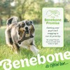 Benebone Wishbone Durable Dog Chew Toy for Aggressive Chewers, Real