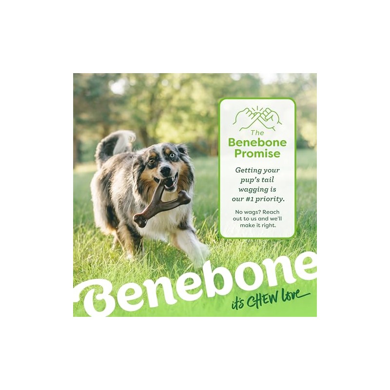 Benebone Wishbone Durable Dog Chew Toy for Aggressive Chewers, Real