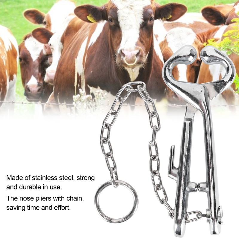 Cow Nose Pliers Stainless Steel Cattle Nose Ring Pliers with