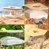PLUSHCEWT Hamster Sand Bath, Hamster Sand Bath Container, Transparent Hamster