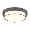 Cargifak 12 inch Flush Mount Ceiling Light, 2-Light Close to