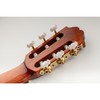 Musiclily Pro 3 on a Plate Lyra Style Classical Guitar