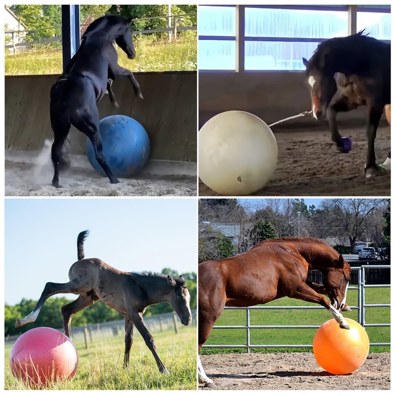 Herding Ball for Horse, 40" Anti-Burst Giant Soccer Ball Toy