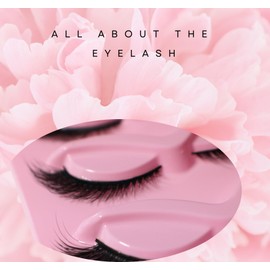 ANCLOY Natural False Eyelashes, 5 Pairs DIY False Eyelashes for Women, Light Weight and Long Lasting, Natural Looking, Fox Style (Fox Style X), black