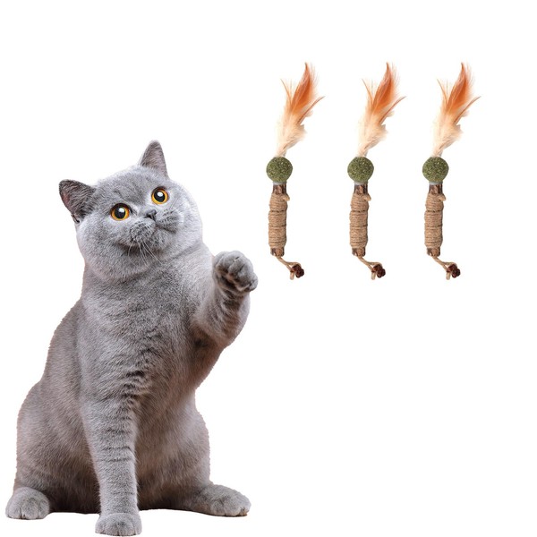 Cats Teething Chew Toys Edible Chew Toys for Cats to