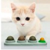 Catnip Ball for Cat,Magic Cats Balls Cat Nip Balls, Self-Adhesive