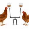 BingegePet Chicken Treat Dispenser Toy, 15.7-Inch Dual-Spring Slow Feeder with