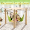 Guinea Pigs Hammock with Natural Wooden Stand - Hanging Hammock