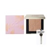 TWO SLASH FOUR All Over Face Blush + Mini Angled