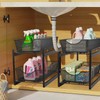 IBERG Under Sink Organizer, 2-Tier Mesh Metal Sliding Storage Basket,