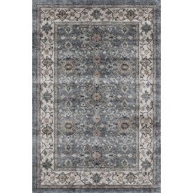 Dripex 2x3 Area Rugs, Machine Washable Non Slip Boho Rugs,Distressed Small Entryway Rug Doormat, 0.2" Low Pile Vintage Rug, Floor Carpet for Indoor Front Entrance Kitchen Bathroom,Blue and Multi