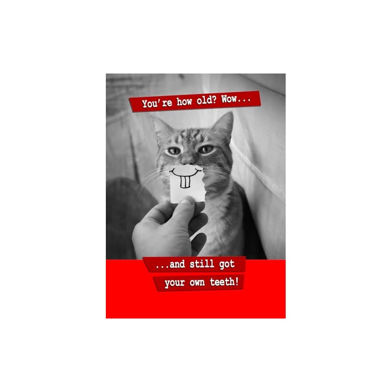 You're How Old? Cat Birthday Card